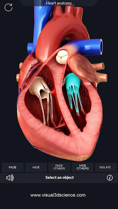Heart Anatomy Pro - 3D-строение сердца