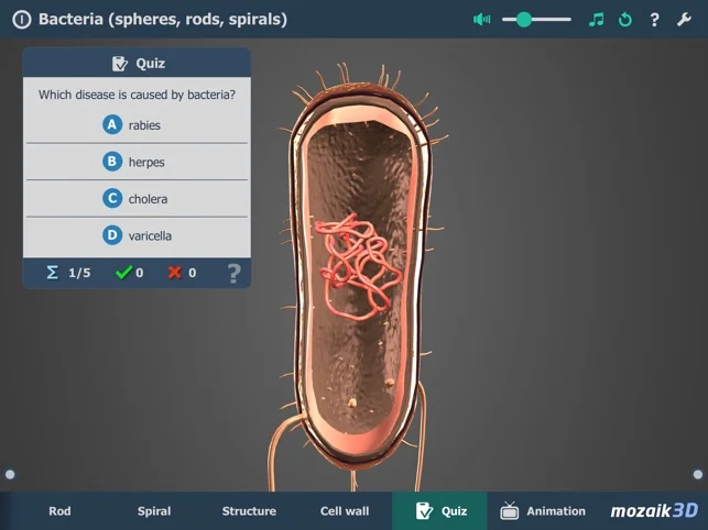 Bacteria VR 3D - модели бактерий
