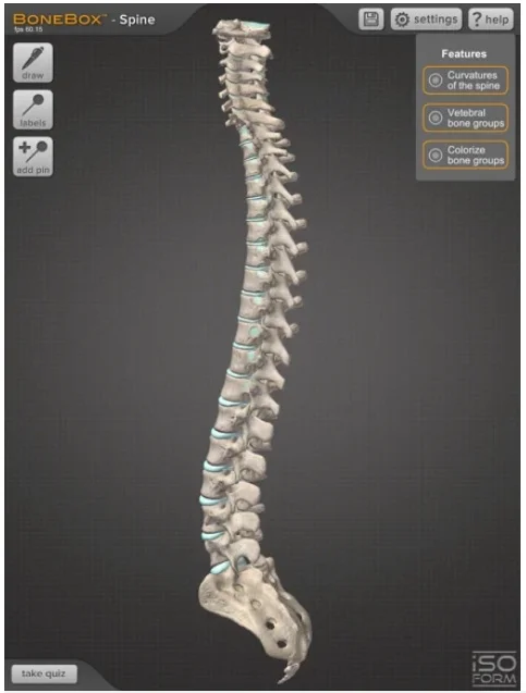 BoneBox™ - Spine Viewer (изучение позвоночника)