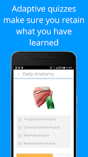 Daily Anatomy: Flashcard Quizzes to Learn Anatomy - флешкарты по анатомии