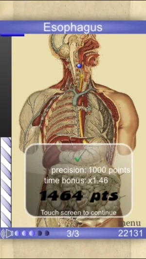 Speed Anatomy Quiz Free - игра на знание анатомии